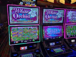 Paito Harian daily lottery data archive displayed on twobet88 platform